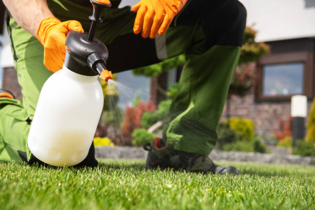 Best Best Pest Control Companies  in Woods Creek, WA