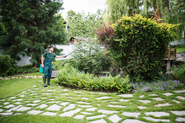Professional Pest Control in Woods Creek, WA