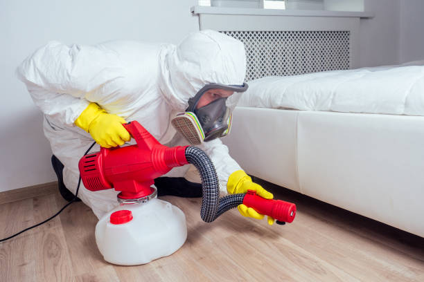 Best Rat Extermination Near Me  in Woods Creek, WA