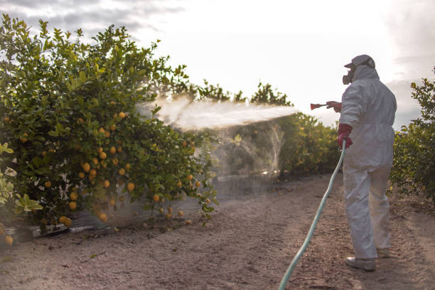 Best Local Pest Control Services  in Woods Creek, WA