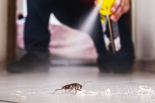 Best Flea Control Services  in Woods Creek, WA