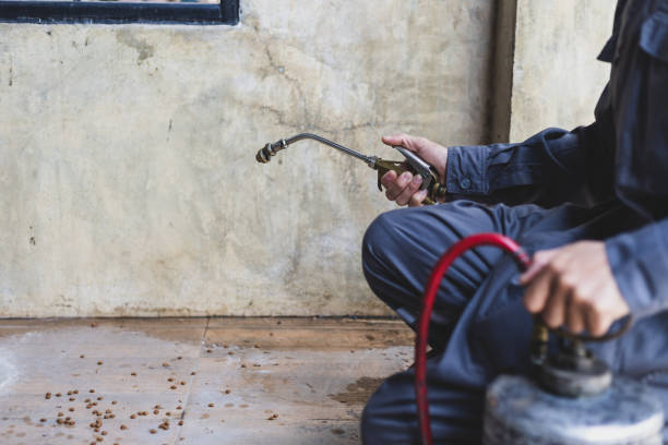 Best Termite Control Services  in Woods Creek, WA
